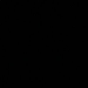 Meet your Posher, Samer